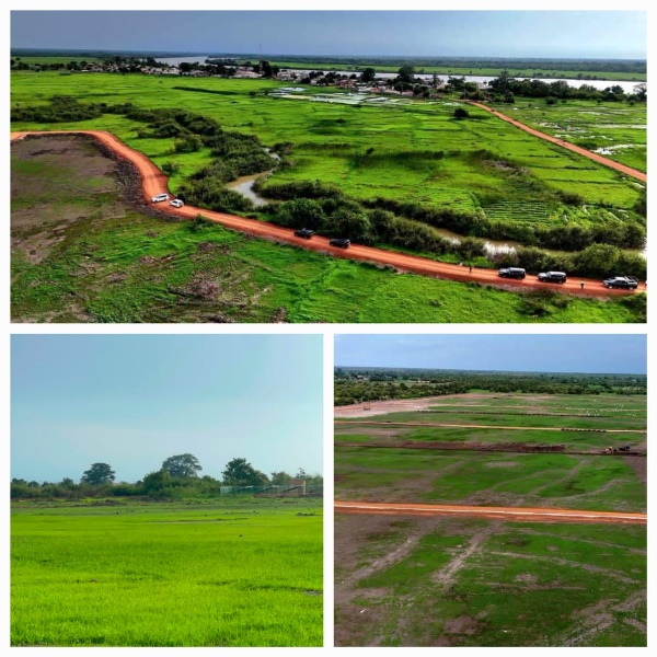 ‘Rice is our staple food’: Barrow pushes year-round production at RRVCD Solar Project`