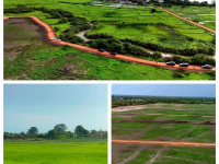 ‘Rice is our staple food’: Barrow pushes year-round production at RRVCD Solar Project`