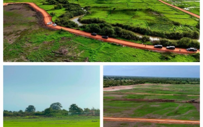 ‘Rice is our staple food’: Barrow pushes year-round production at RRVCD Solar Project`