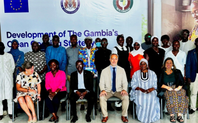 Gambia moves to develop national clean cooking strategy