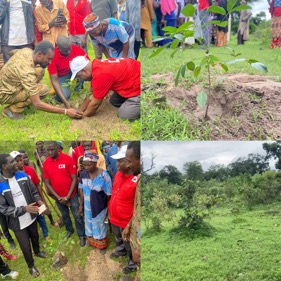Gambia Red Cross Society plants over 2000 trees in NBR