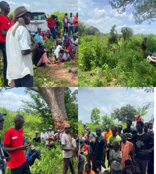 Red Cross plants over 1000 trees in Foni to combat deforestation