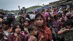 Gambia hailed for defending Rohingya people  