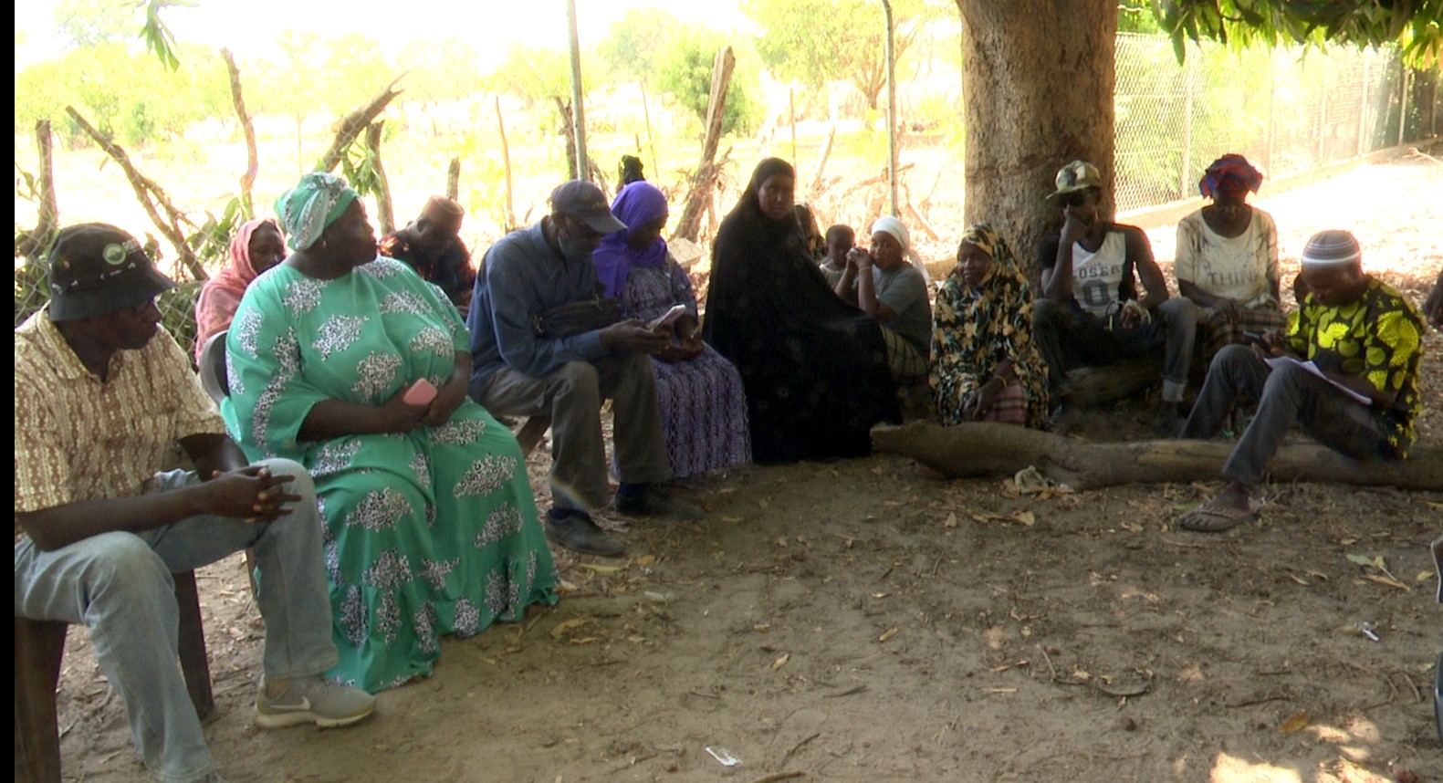 Roots project assesses impact of Climate-Smart Agriculture in West Coast