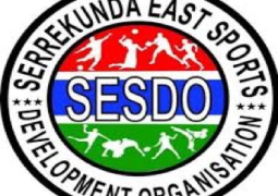 SESDO logo 