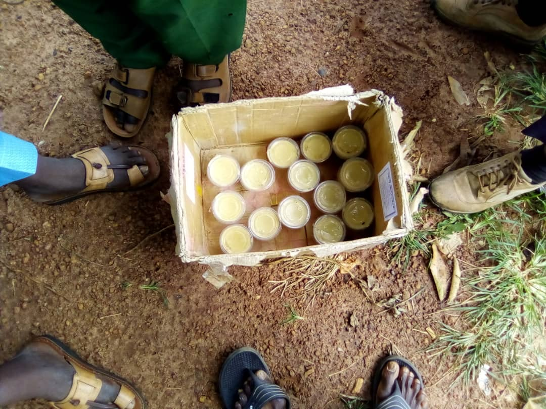 SLM members end field monitoring of ANR project sites