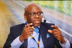 ‘State of emergency declarations not in line with constitution’