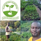 32-year old farmer raises 250, 000 seedling plants, fruit trees