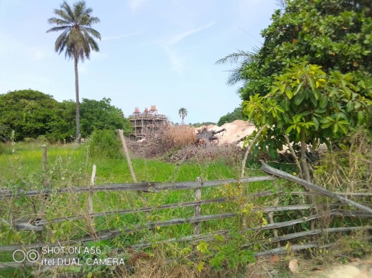 Sanyang women rice farmers demand compensation from GACH