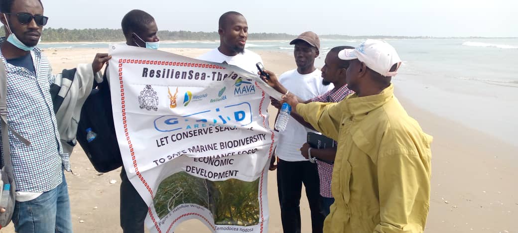 Authority calls for protection, preservation of sea grasses