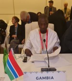 Deputy Speaker Njie urges global action to global challenges