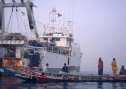 Senegal battles illegal fishing kush