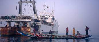 Senegal battles illegal fishing, kush, counterfeit money
