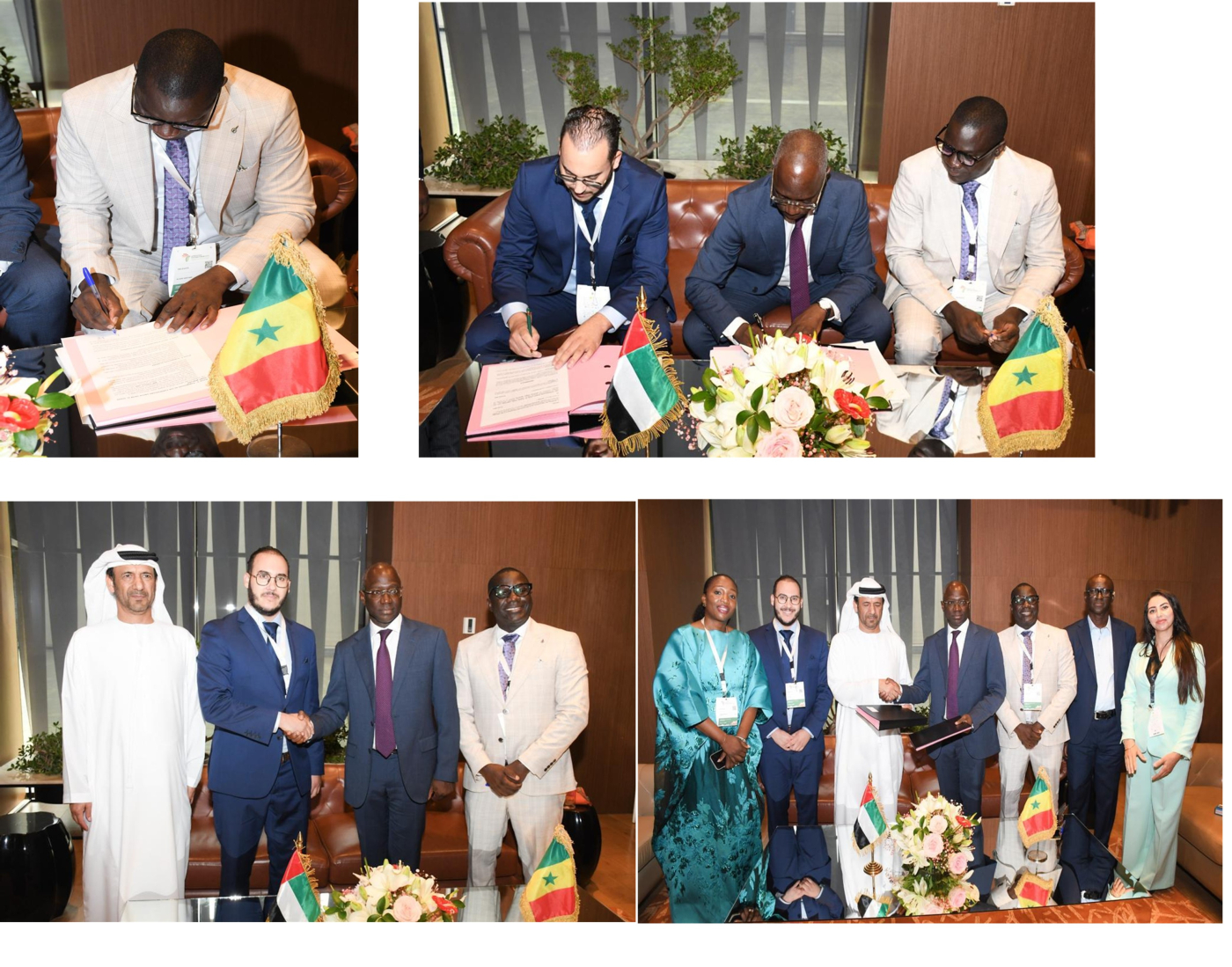 Senegal taps Gambian-led Cornerstone Group for $300M Solar-Powered agricultural revolution