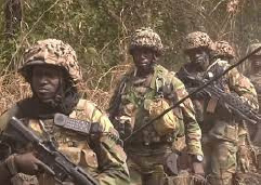 Senegalese force reportedly kills 3, wounds 1