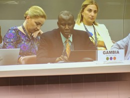 Gambia introduces CRP on Bamako Convention to BRS-COP 2025