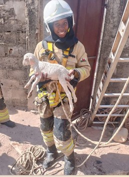 Security officers honoured for exceptional animal protection in Gambia