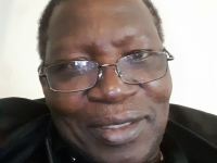2026 Elections: The Gambia at a crossroads – will we triumph or stumble?