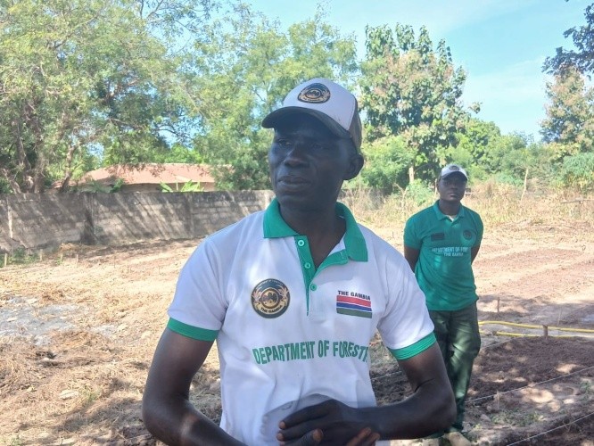Forestry launches 30M Gmelina seedlings campaign to recover lost vegetation