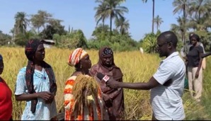 Small holder farmers hail GIRAV project