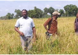 Smallholder farmers