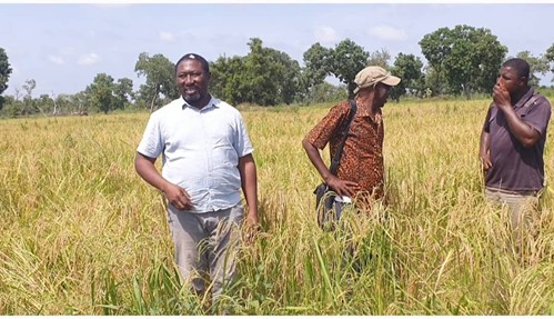 Smallholder farmers extol GIRAV, GAFSP projects interventions