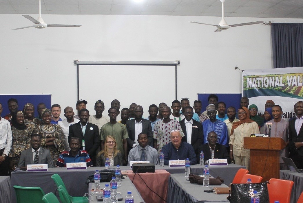 SoilProfit Groundnut Project Validated to boost productivity in Gambia
