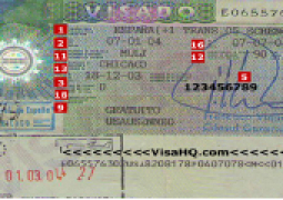 Spain visa case