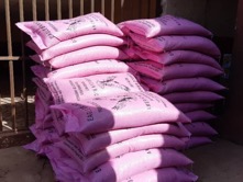 Belgian Friends put smiles on sponsored students faces at Nyodema, Bakoteh Annex