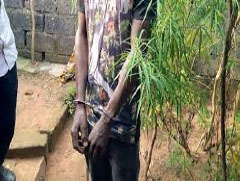 War on drug continues as DLEAG arrests   student, 3 others 