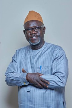 What's the Gambia Bar Association's Real Agenda?
