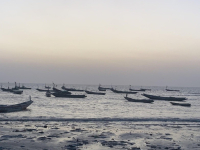 Tanji women fish vendors decry high prices, theft