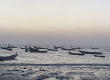 Tanji women fish vendors decry high prices, theft
