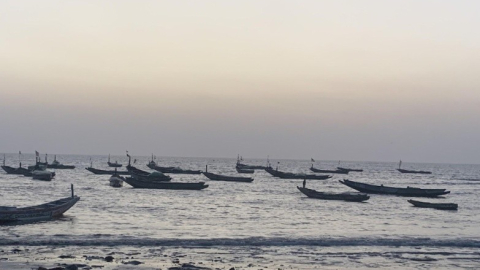 Tanji women fish vendors decry high prices, theft