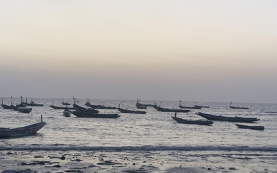 Tanji women fish vendors decry high prices, theft