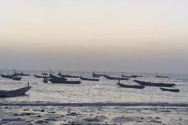 Tanji women fish vendors decry high prices, theft
