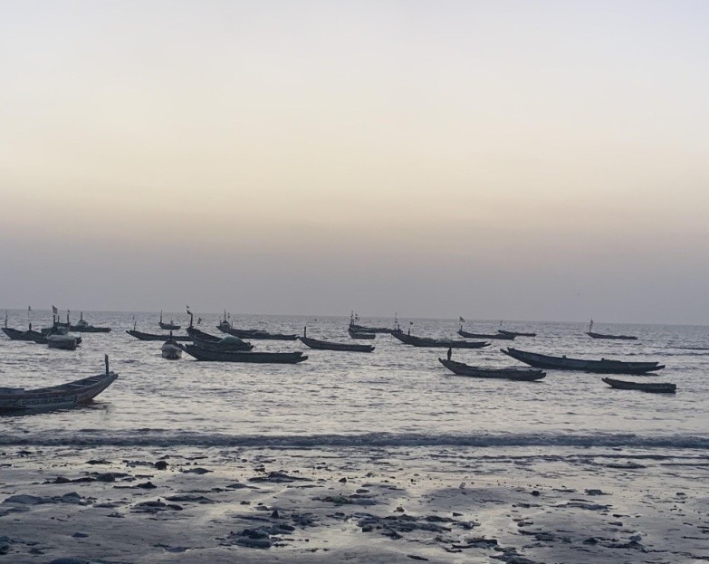 Tanji women fish vendors decry high prices, theft