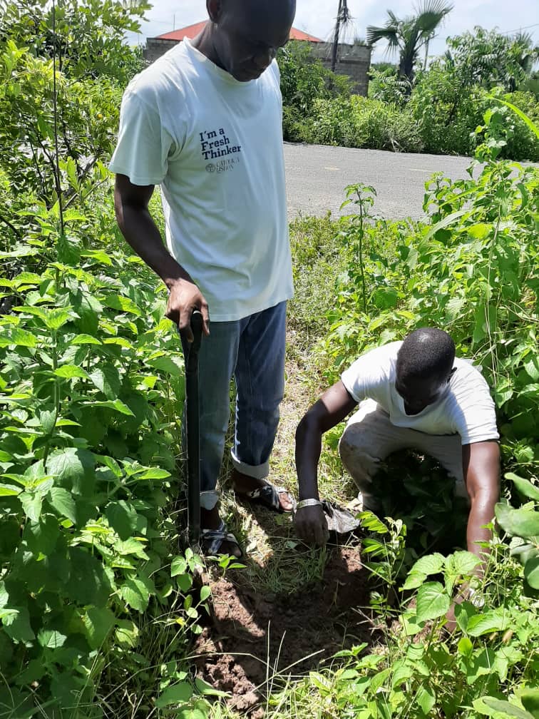 TEDA embarks on tree planting