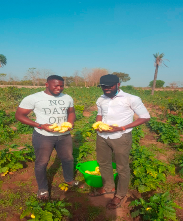 TEKKI FII AGROPRENEURS:  FARMING AGAINST THE TIDE