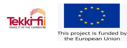 The EU’s Tekki Fii Program Makes TVET Accessible in the Rural Gambia