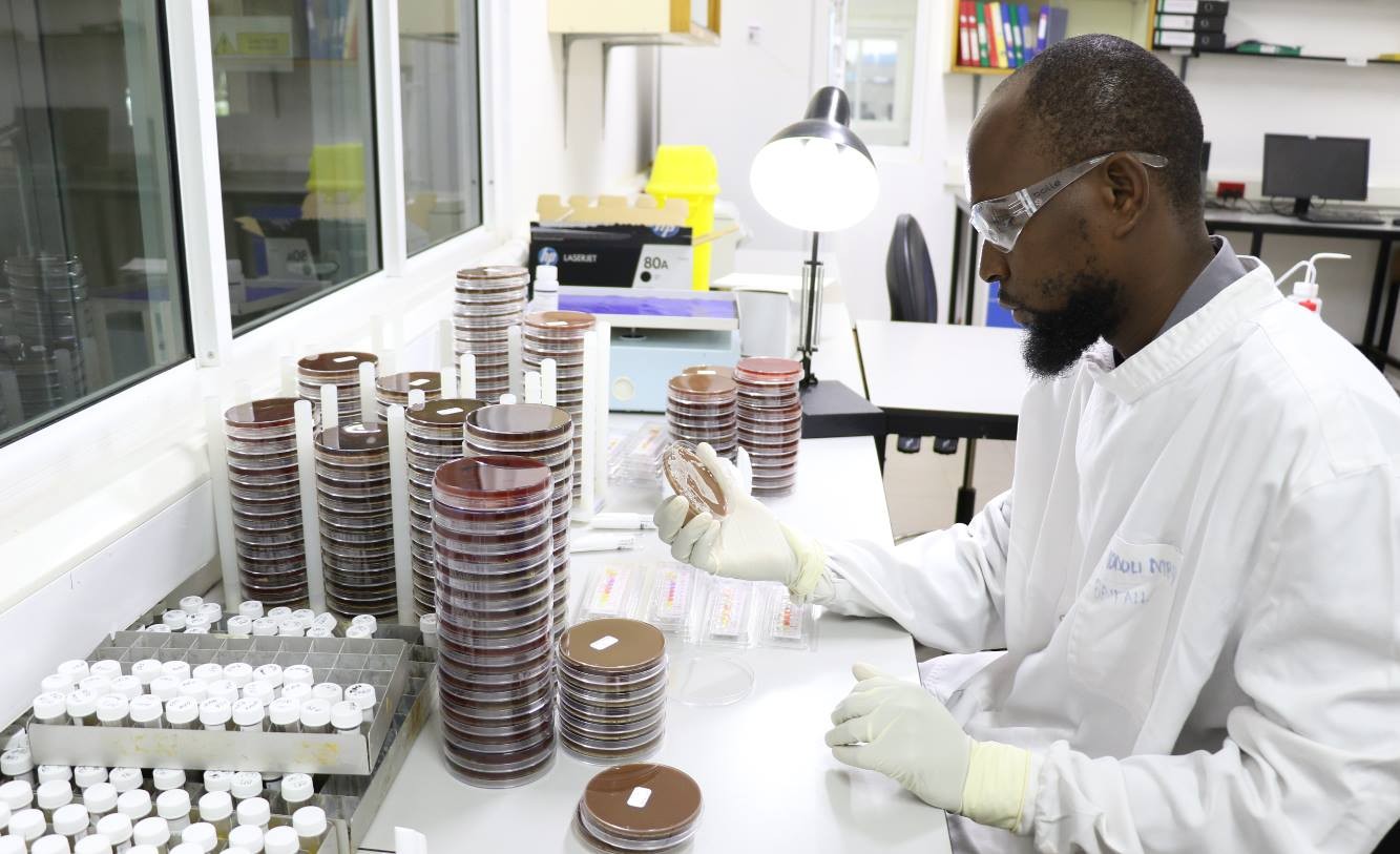 Gambia covid-19 cases surge with 131 recorded