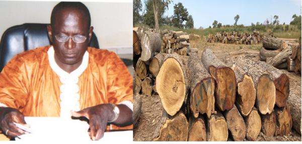Authorities call for dialogue as timber saga grips Senegambia