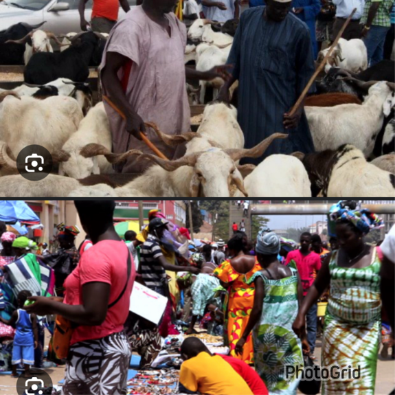 Rams, clothes and sacrifice: Gambians struggle to celebrate Tobaski amid soaring costs