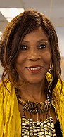 Top UN officials including UNDP regional director for Africa to visit Gambia