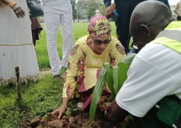 Tree Planting Exercise v2