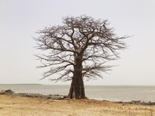 Water insecurity affects health outcomes in rural Gambia