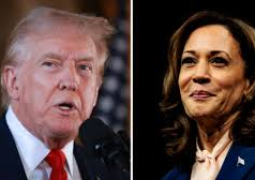 Trump and Harris v2