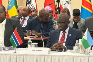 Turkiye Africa business