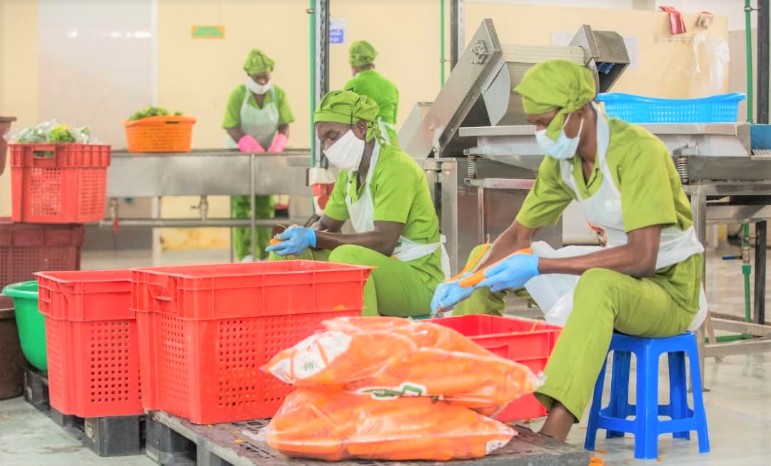 Analysis: Growing resilient MSMEs in Africa for a sustainable future