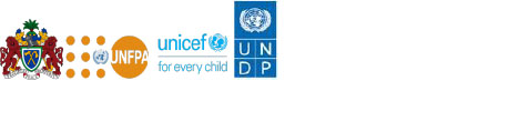 Gov’t, UN partners launch US$2M initiative to strengthen women leadership, political participation